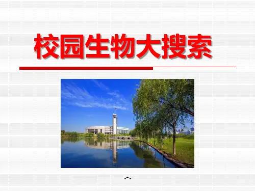 教科版科学六上《校园生物大搜索》PPT课件