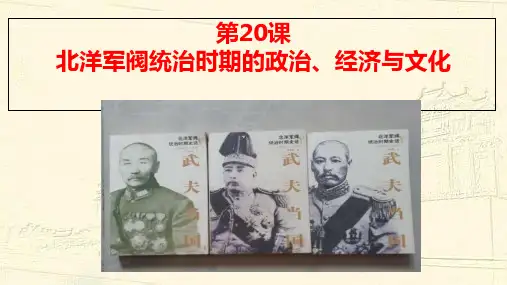 部编高中历史公开课第20课 北洋军阀统治时期的政治、经济与文化