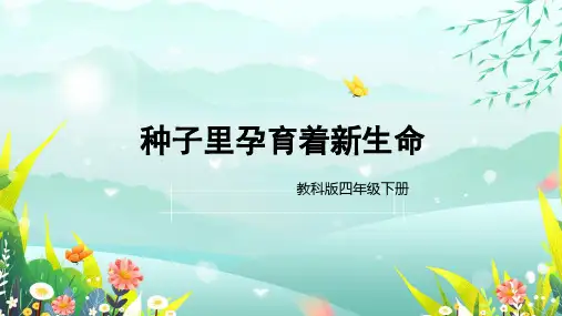 四年级科学种子里孕育着新生命课件