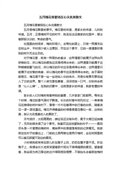 五月槐花香萦绕在心头优美散文