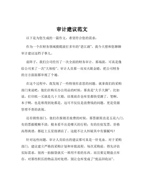 审计建议范文