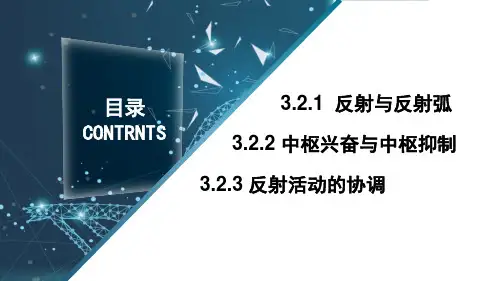 113.2反射与反射活动的协调