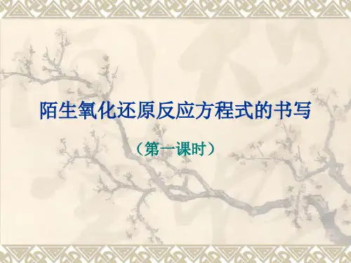 2020届高考化学二轮复习 陌生氧化还原反应方程式的书写(共48张PPT)