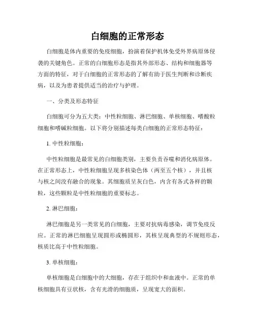 白细胞的正常形态