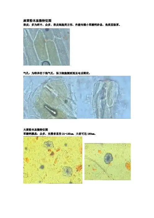 生药粉末显微特征及彩图