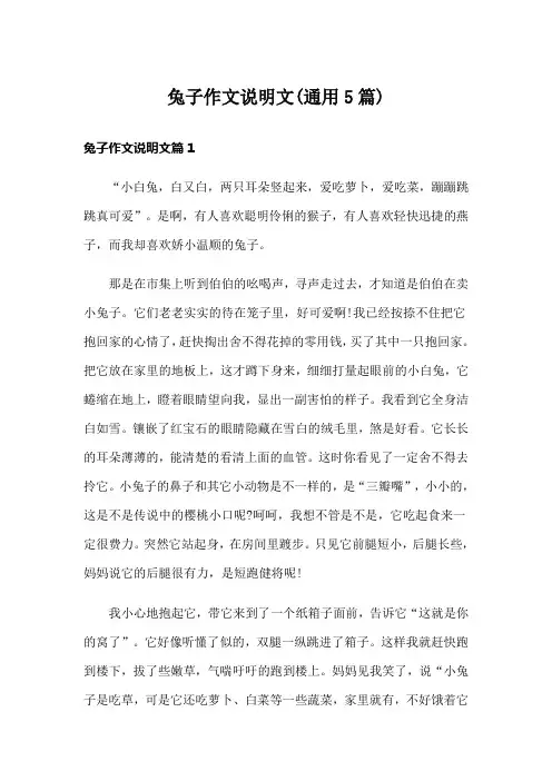 兔子作文说明文(通用5篇)