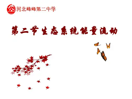 人教版生物必修三5.2《生态系统的能量流动》同步课件(共28张PPT)
