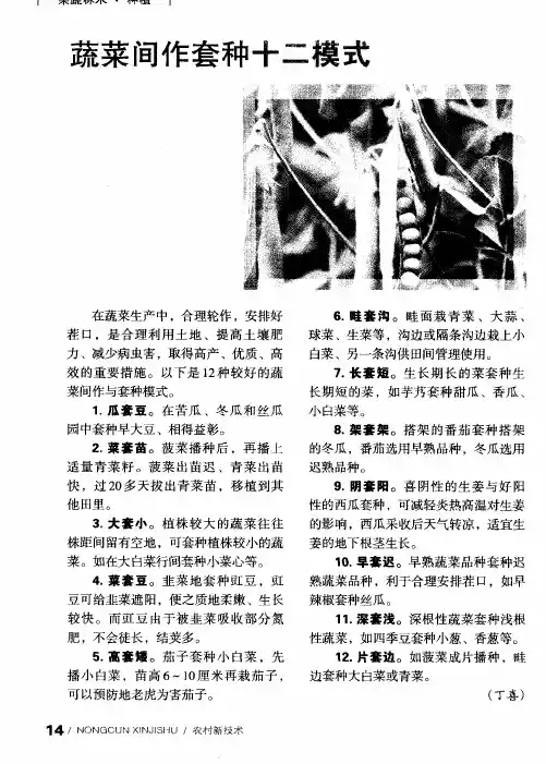 蔬菜间作套种十二模式