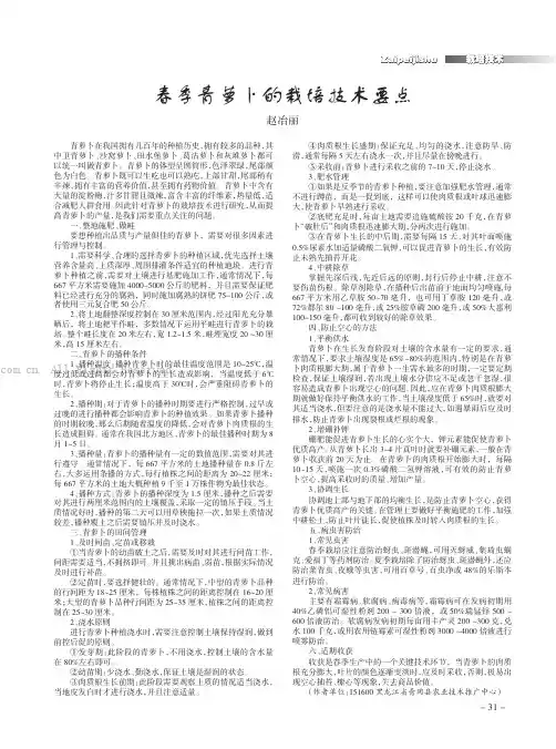 春季青萝卜的栽培技术要点