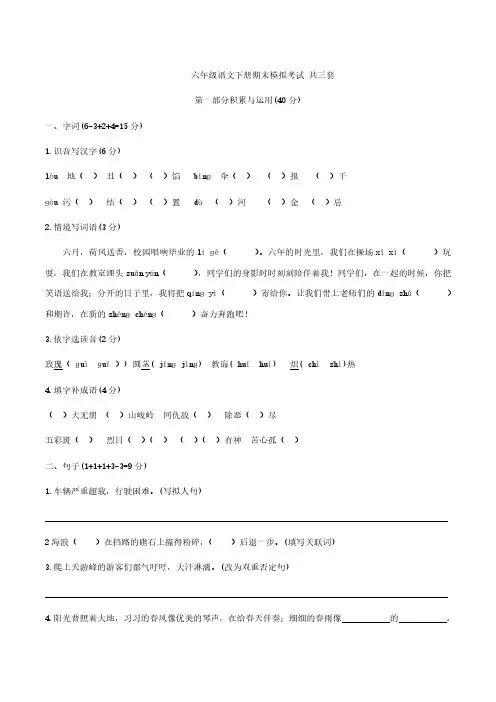 六年级下册语文练习与测试答案