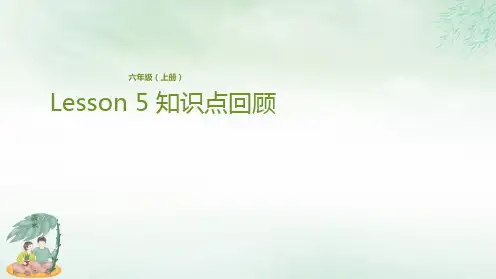 六年级上册英语-Lesson 5 知识点回顾 科普版