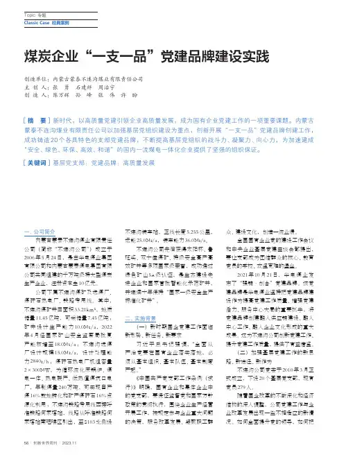 煤炭企业“一支一品”党建品牌建设实践