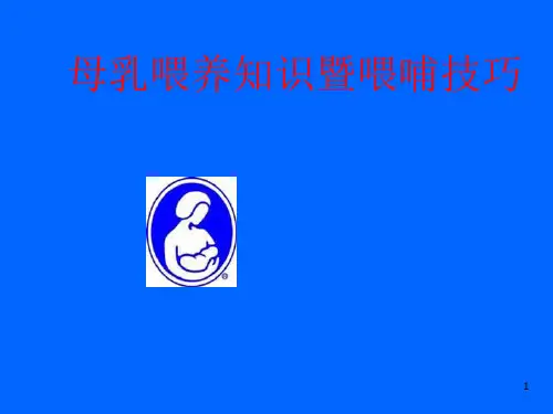 母乳喂养技巧ppt课件