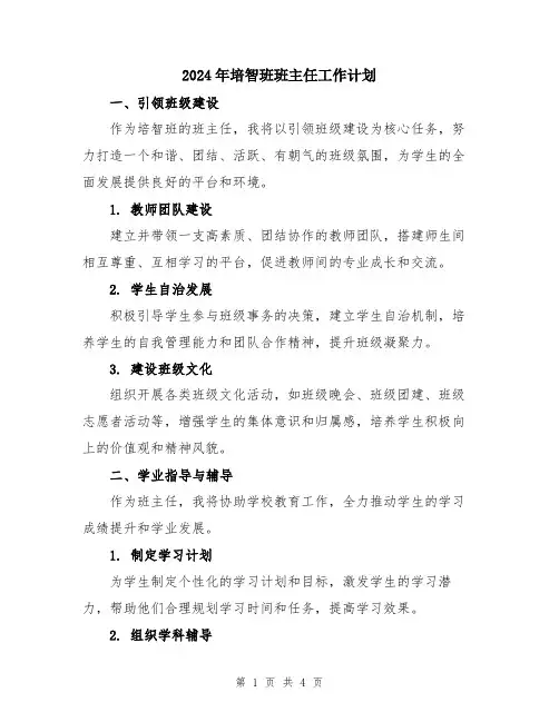 2024年培智班班主任工作计划