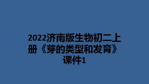 2022济南版生物初二上册《芽的类型和发育》课件1