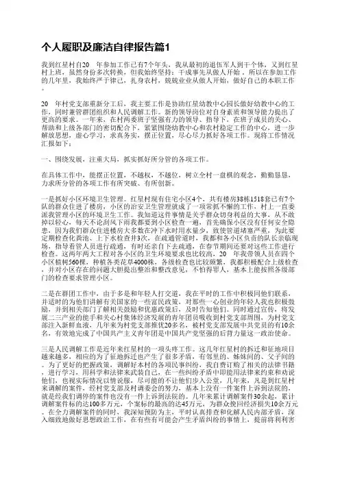 个人履职及廉洁自律报告