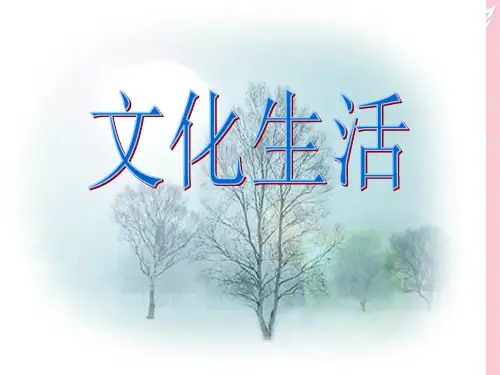 高中政治文化生活 第一课 文化与社会 复习课件 ppt课件新人教版必修4