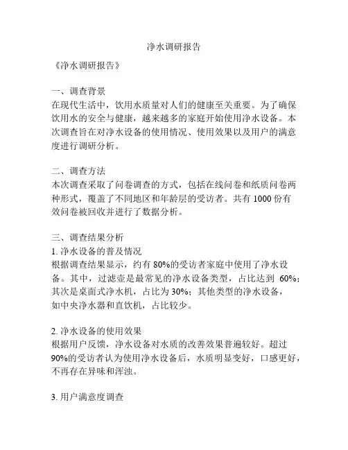 净水调研报告