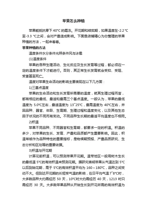 苹果怎么种植