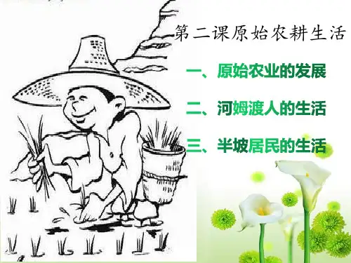 人教版历史七年级第二课原始农耕生活