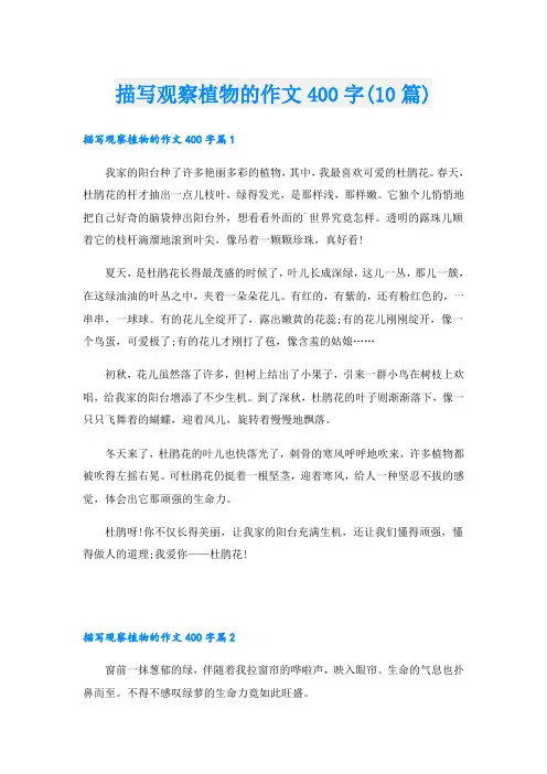 描写观察植物的作文400字(10篇)