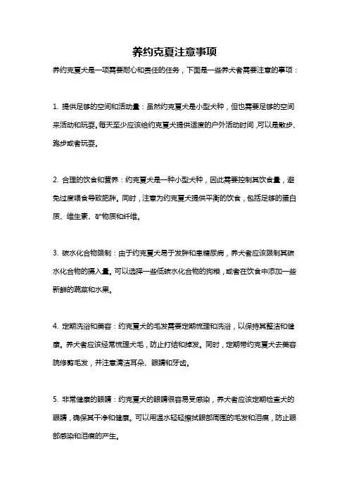 养约克夏注意事项