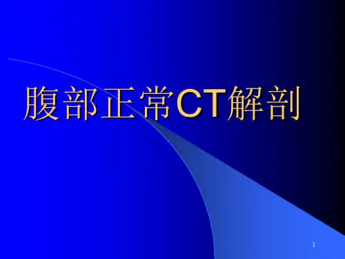腹部正常CT表现-文档资料