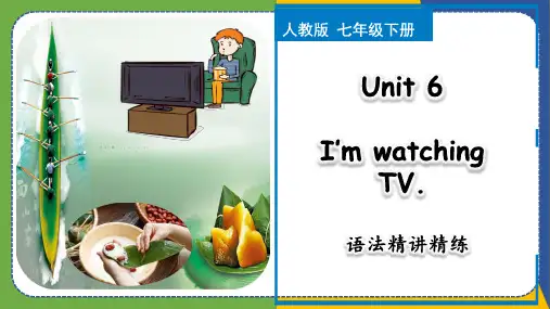 Unit 6 语法精讲精练-七年级英语下册(人教版)