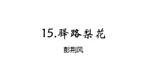 《驿路梨花》课件(共28张PPT)