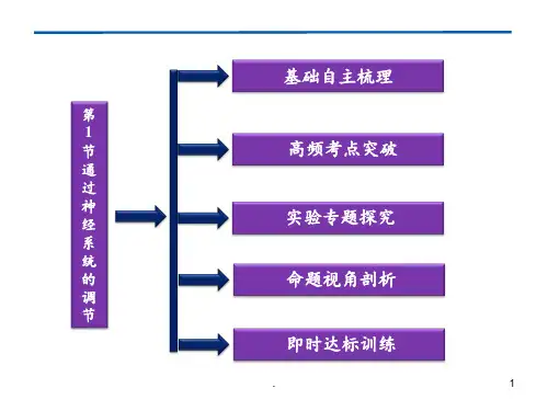 高考生物一轮复习人教必修第章第节通过神经系统的调节