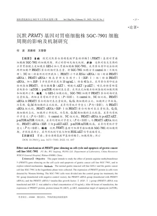 沉默PRMT5基因对胃癌细胞株SGC-7901细胞周期的影响及机制研究