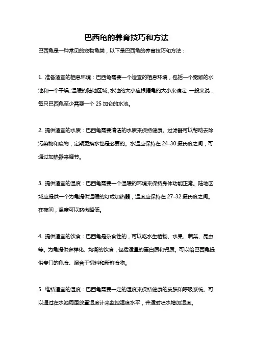 巴西龟的养育技巧和方法