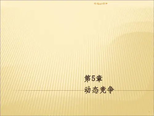动态竞争ppt课件