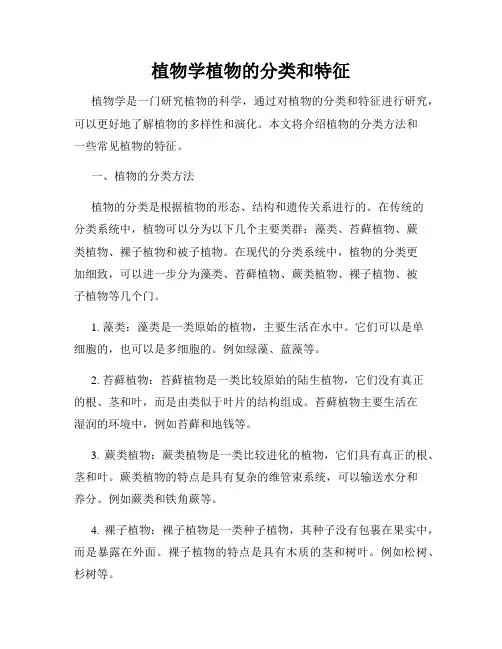 植物学植物的分类和特征