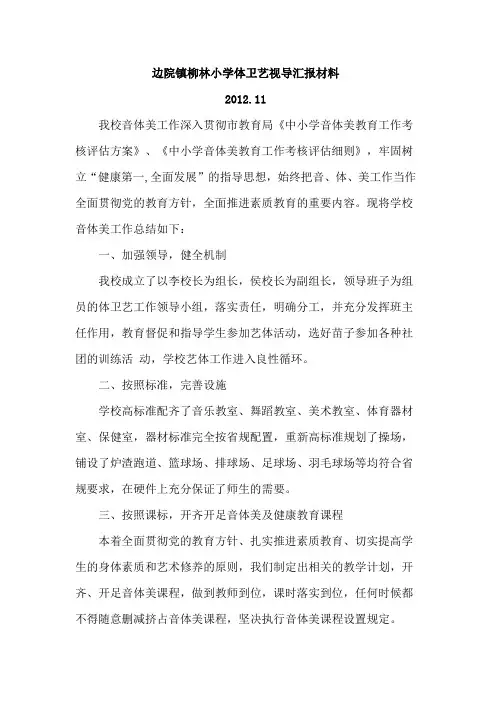柳林小学体卫艺视导汇报材料