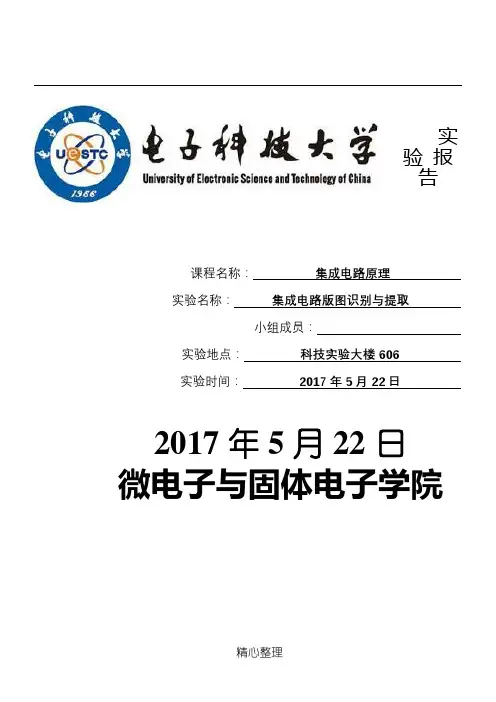 电子科技大学-集成电路原理实验-集成电路版图识别与提取-王向展