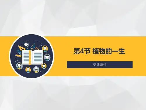 浙教版科学七年级下册_《植物的一生》授课课件1
