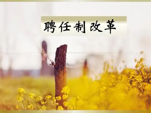 公务员聘任制