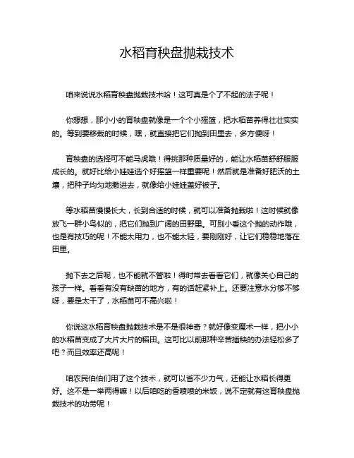 水稻育秧盘抛栽技术