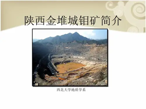 陕西金堆城钼矿简介