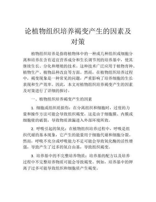 论植物组织培养褐变产生的因素及对策