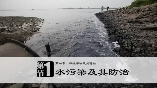 湘教版选修6课件：第四章 第一节 水污染及其防治 课件(30张)