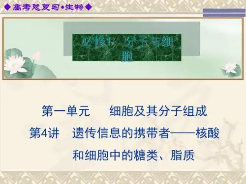 遗传信息的携带者——核酸和细胞中的糖类、脂质ppt 精品课件