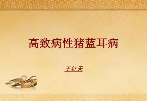 高致病性猪蓝耳病