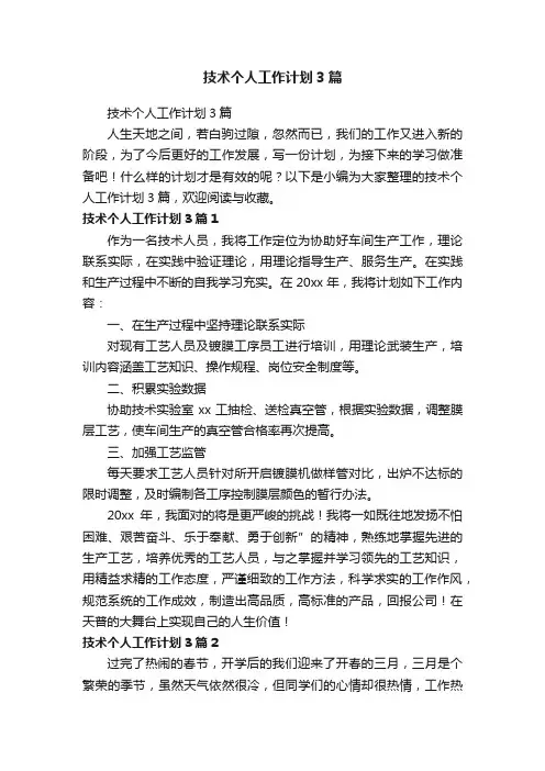 技术个人工作计划3篇