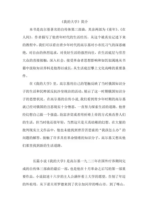 《我的大学》简介