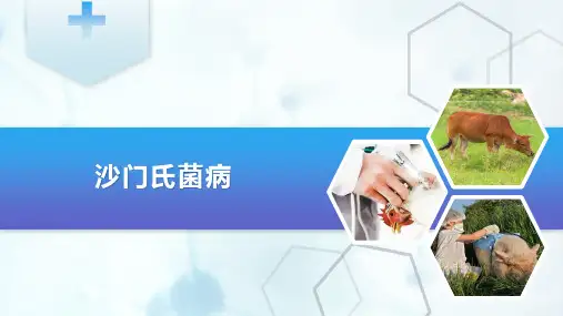 禽病防治—禽沙门氏菌病(动物传染病防治课件)