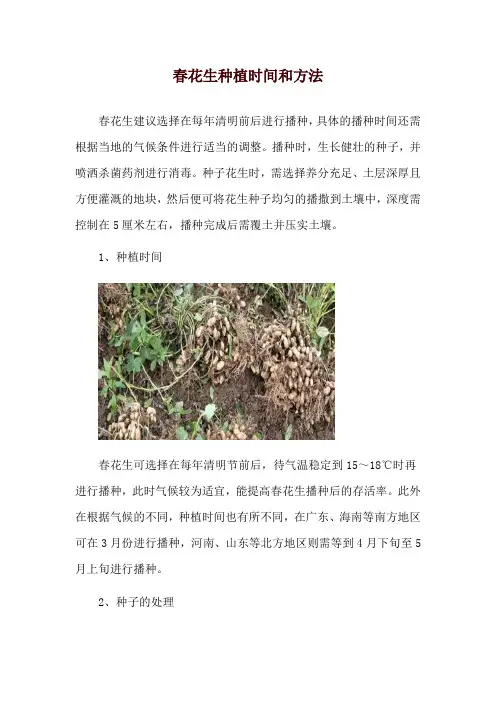 春花生种植时间和方法