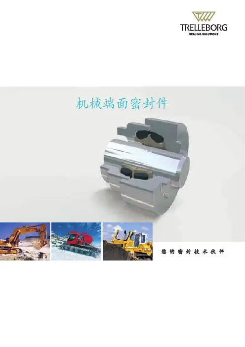 特瑞堡密封(浮动油封密封)