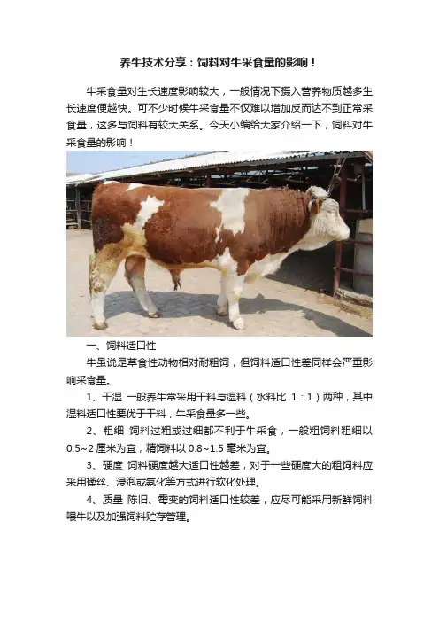 养牛技术分享：饲料对牛采食量的影响！